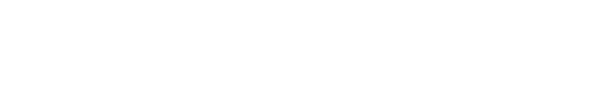 Inspection Drone